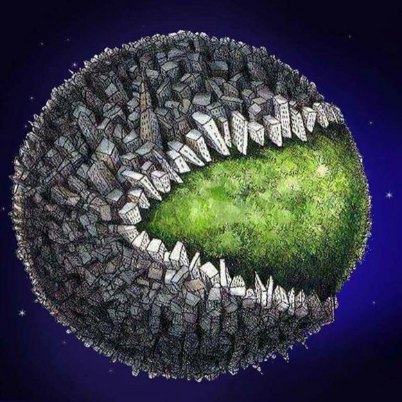 MAKE OFFERS WILL TAKE ANYTHING - Picture 1 of 1